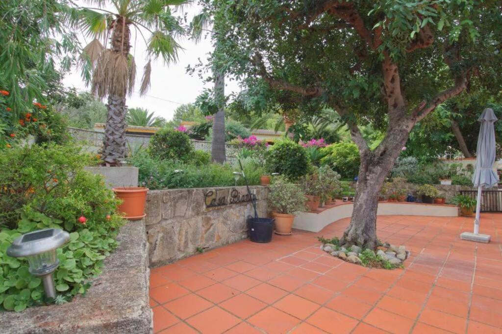 데니아 Agradable Casa Con Piscina Privada Y Jardin 빌라 외부 사진